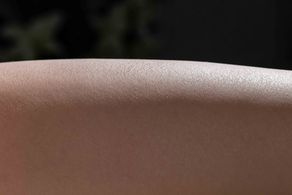 Yulania sexdukke (AITIA dukke 163 cm E-cup 2.2 silikone)