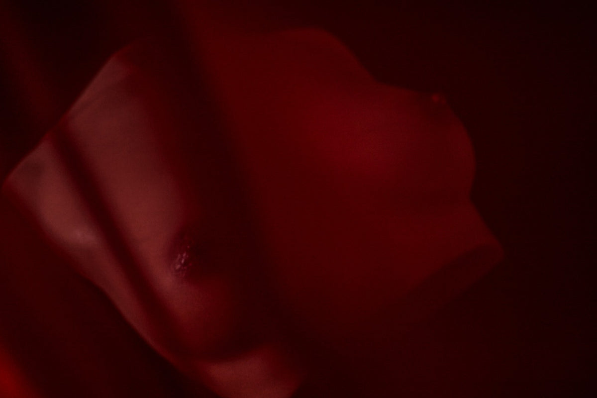 Bryst (S) Torso sexdukke (Climax Doll Pro B-cup silikone)