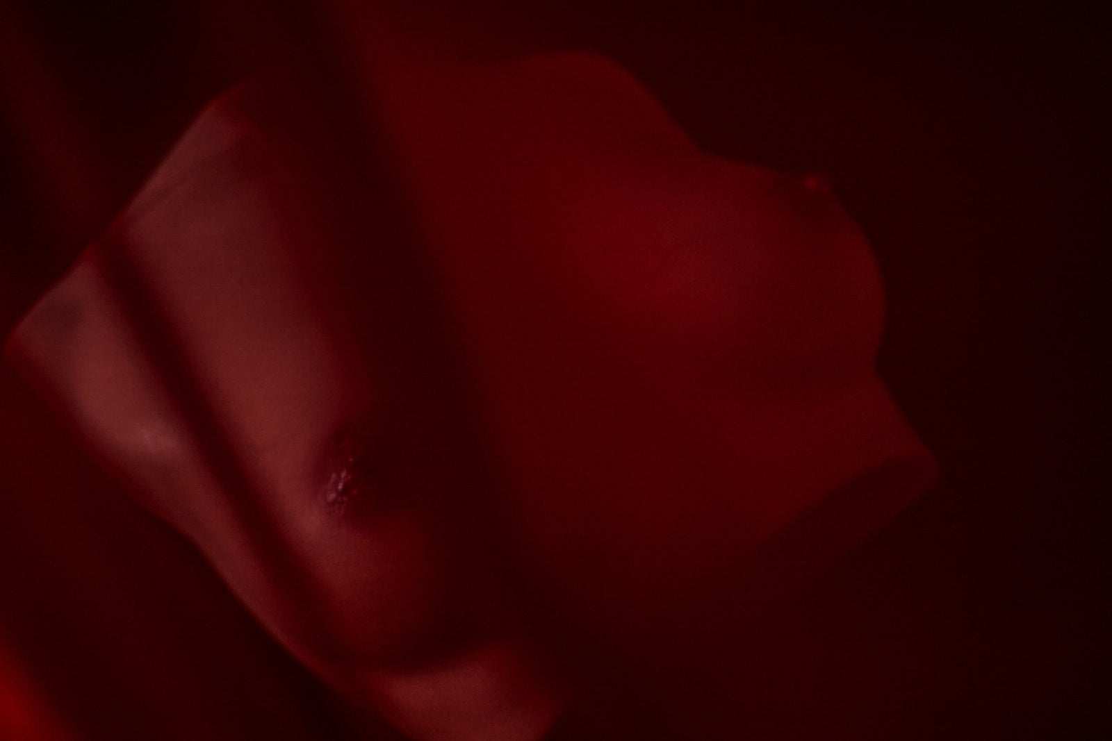 Bryst (S) Torso sexdukke (Climax Doll Pro B-cup silikone)