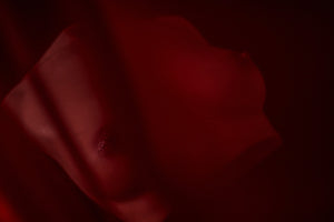 Bryster (r) overkropp sexdukke (Climax Doll Pro B-cup silikone)