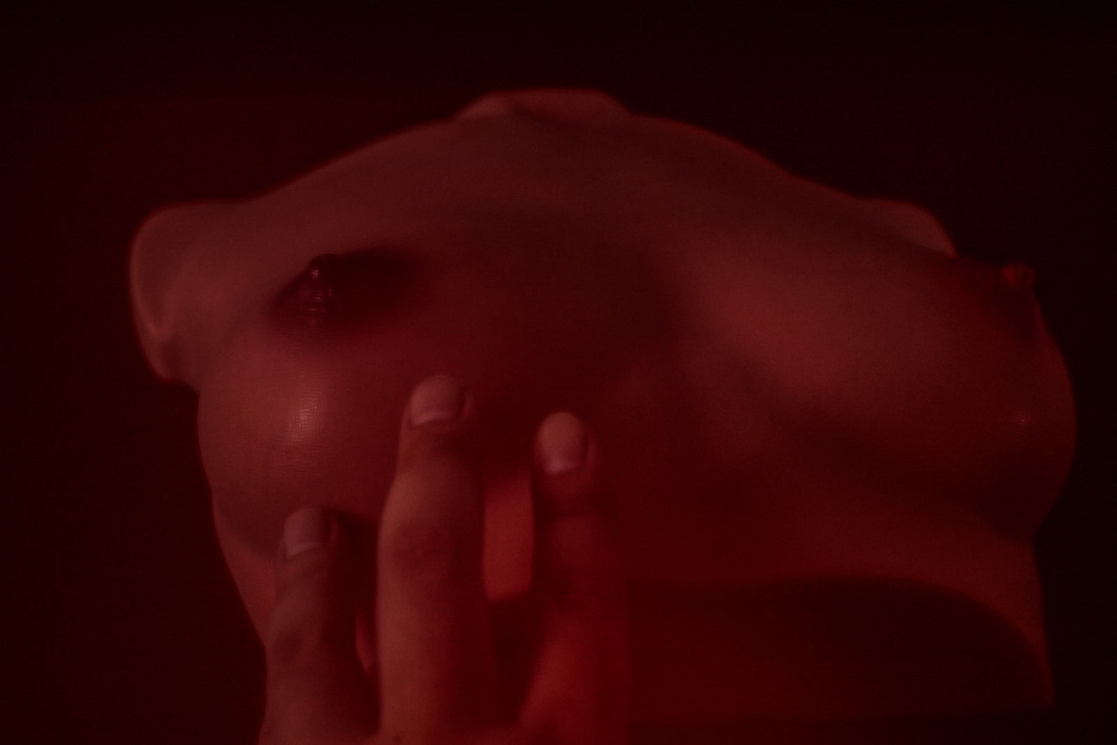 Bryst (S) Torso sexdukke (Climax Doll Pro B-cup silikone)