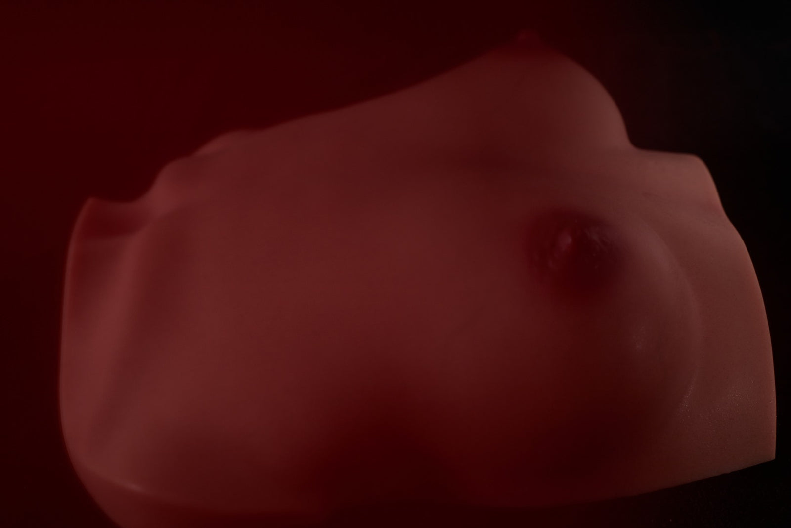 Bryst (S) Torso sexdukke (Climax Doll Pro B-cup silikone)