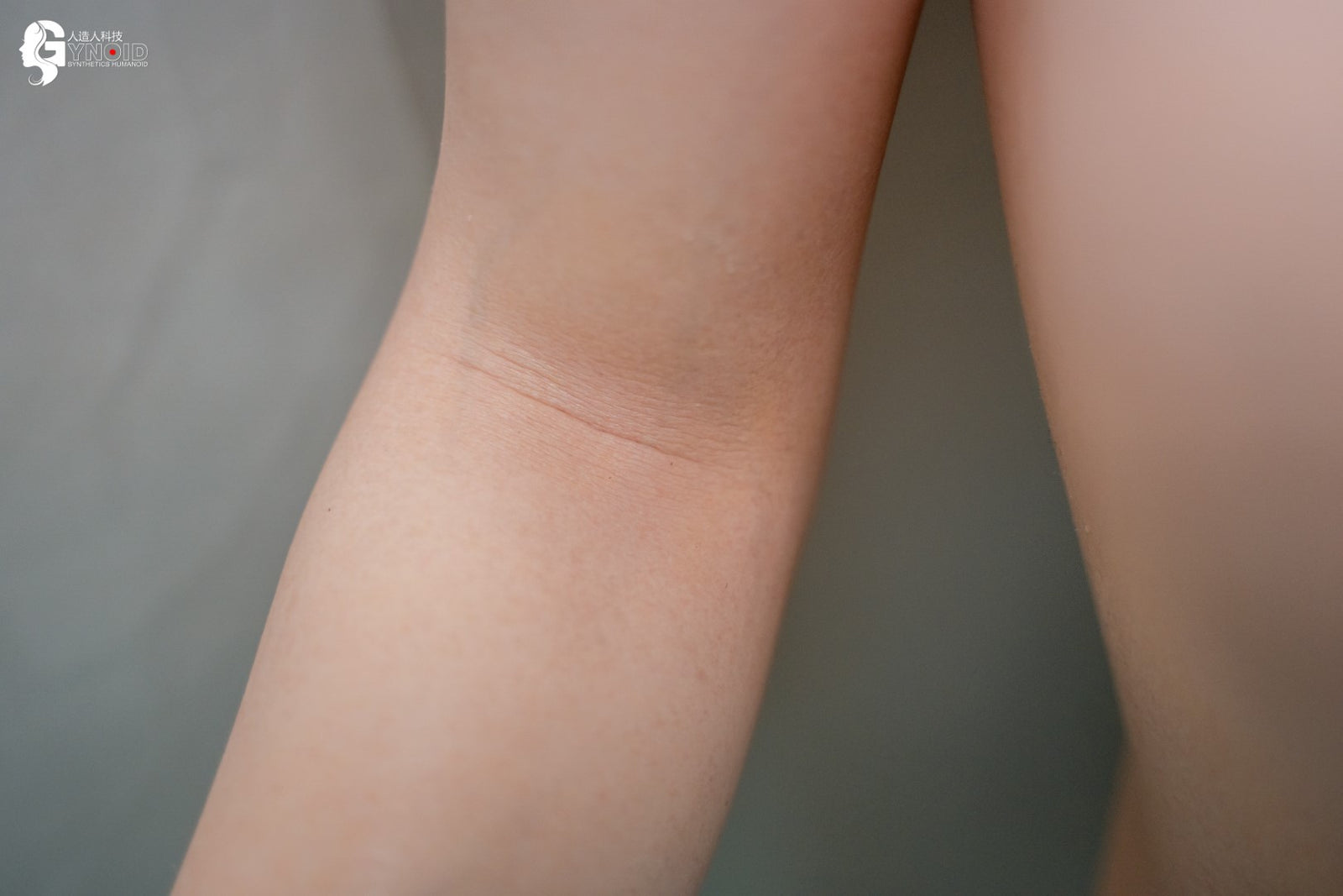 sexdukke Leyla Model 19R Deluxe (Gynoid Doll 168 cm F-cup silikone)