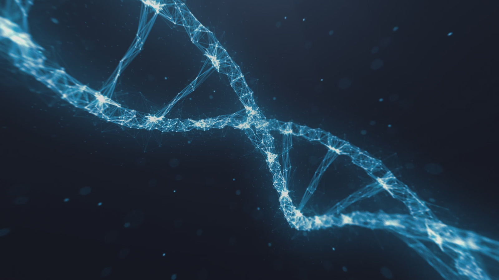 Natalie sexdukke (XT Doll 160 cm H-cup #XT-31 silikone)