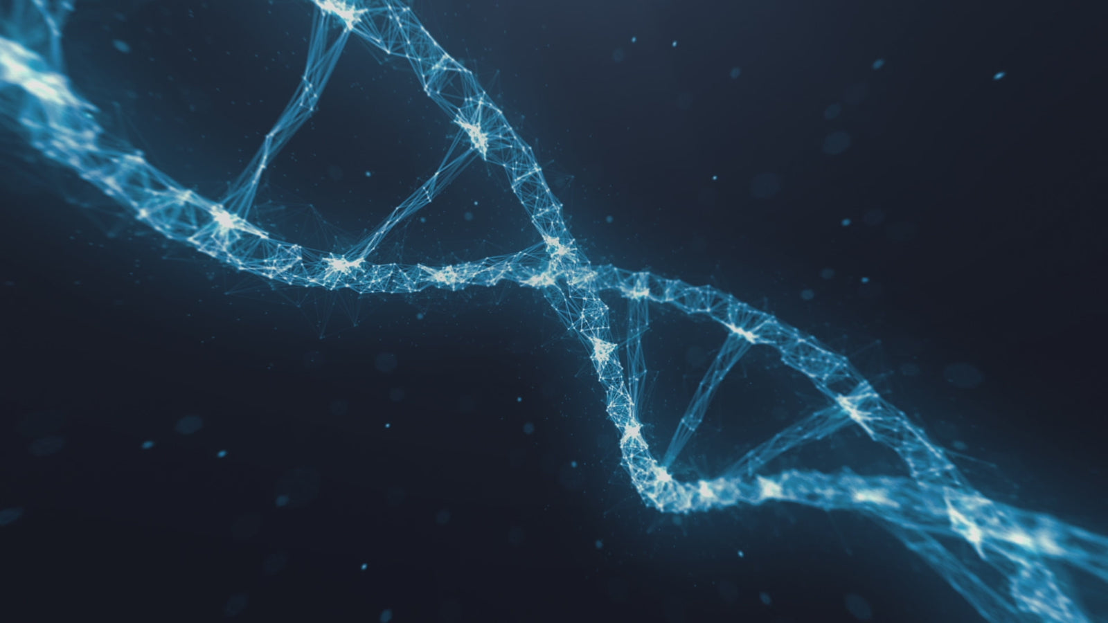 Engel sexdukke (XT Doll 163 cm F-cup #XT-8-B silikone)