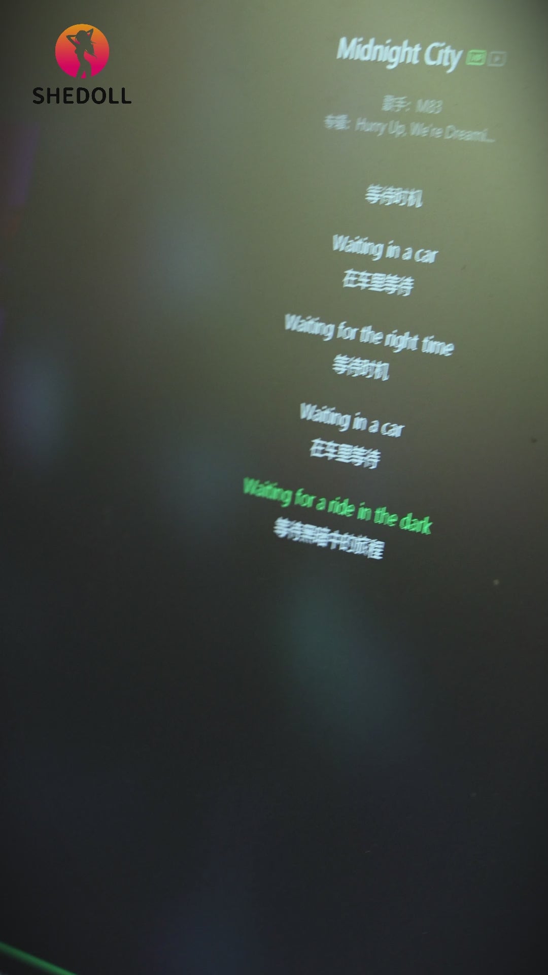 Kosame sexdukke (SHEDOLL 170 cm E-cup #SH146 2.0 TPE+silikone)