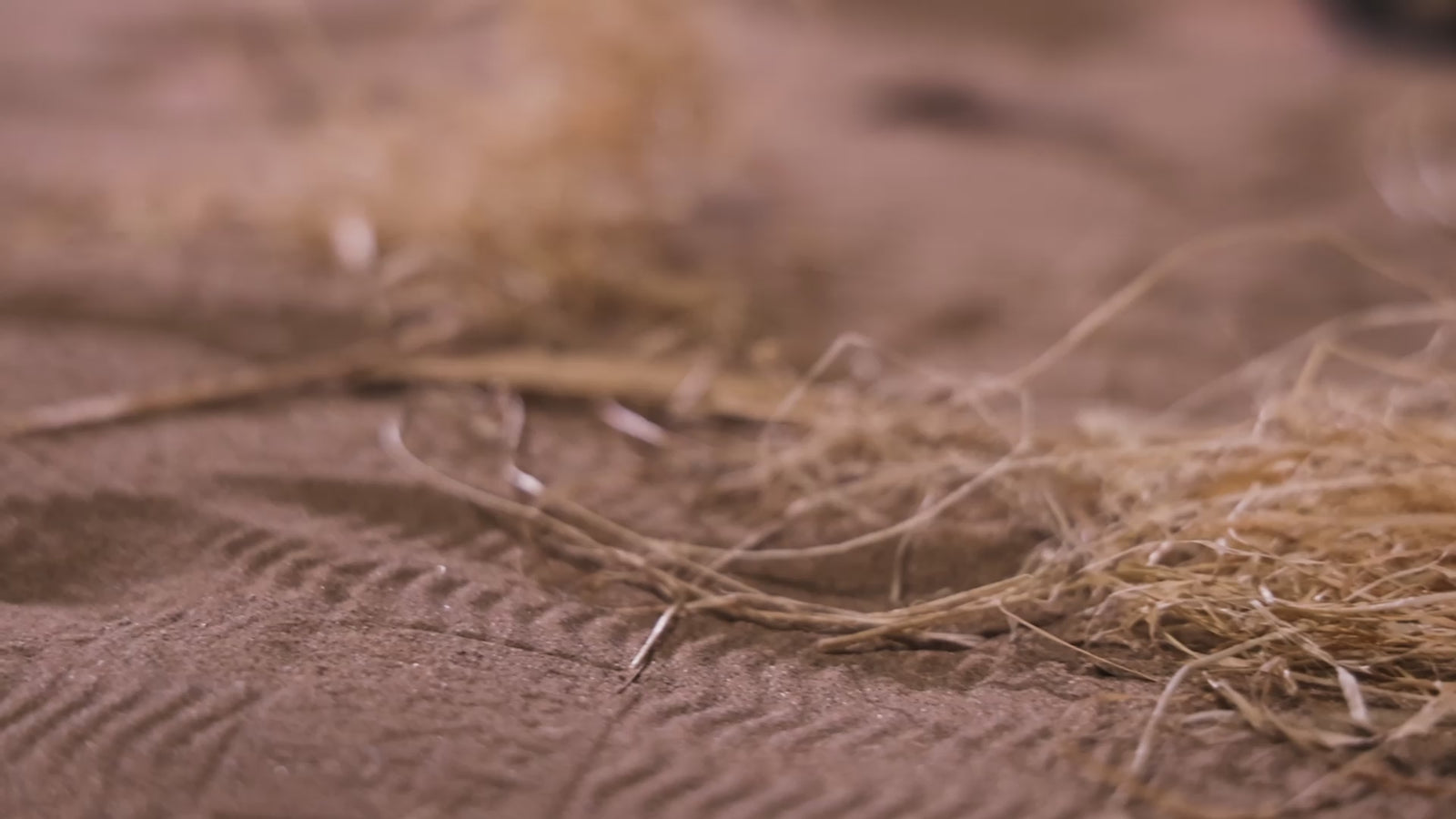 Øen sexdukke (Dolls Castle 156 cm E-cup #A1 TPE) EXPRESS