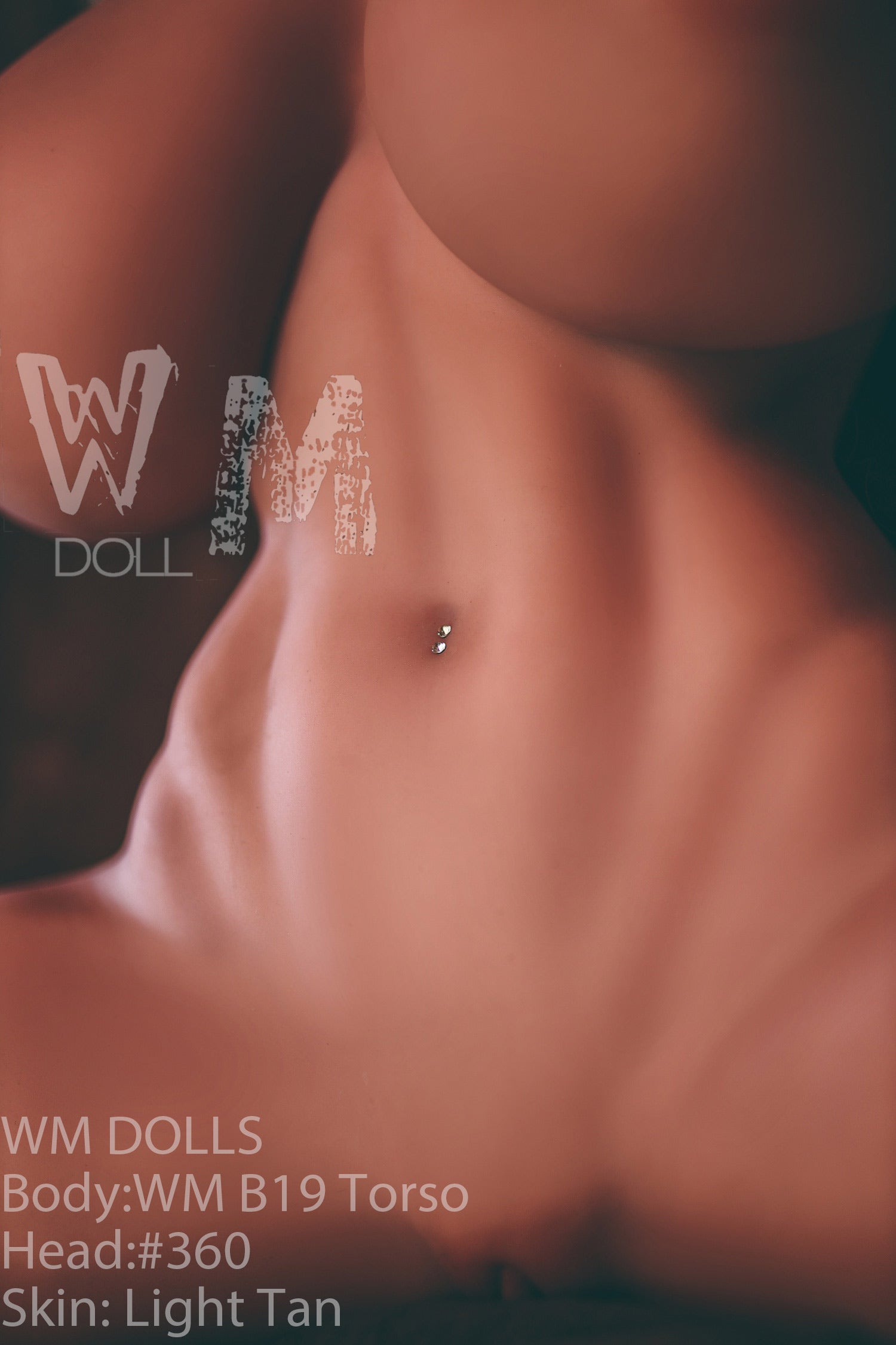 Brandy sexdukke (WM-Doll Torso B19 89cm J-cup #360 TPE)