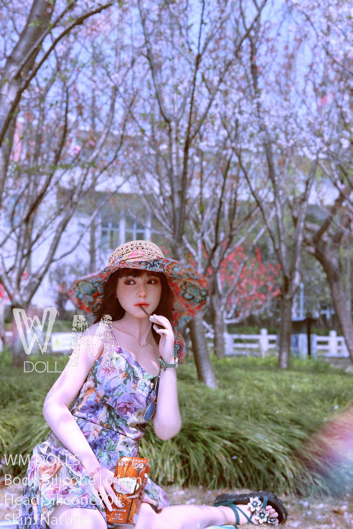 Suzuki sexdukke (WM-Doll 164 cm d-cup Silikone #70)